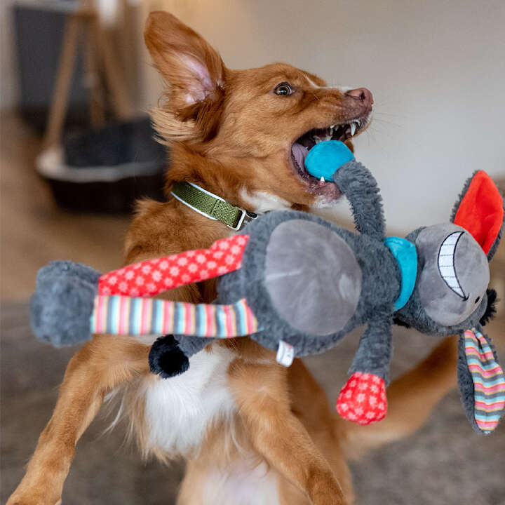 Nobby Plüschtier ESEL für Hunde